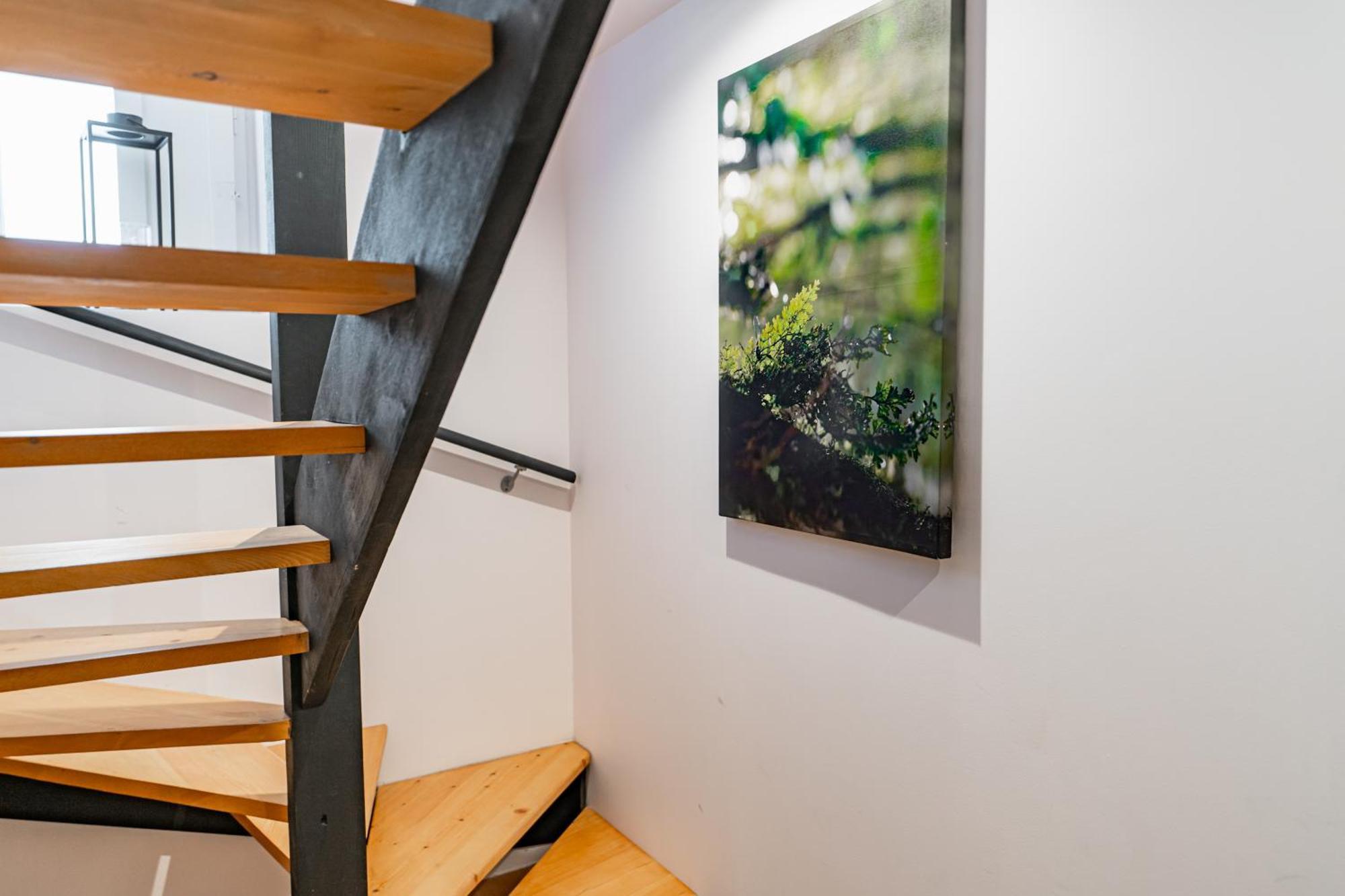 Aux Portes Du Jardin Public Appartement *